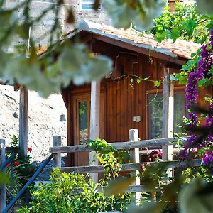 Homestay Agora